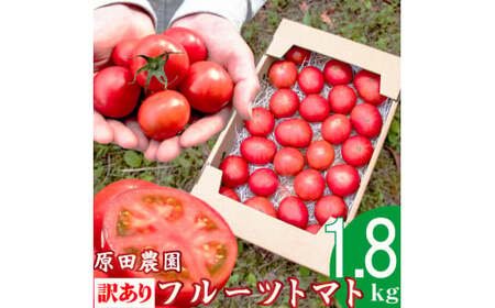 【2025年12月下旬～順次発送】＜訳あり フルーツトマト 原田農園 約1.8kg 箱入＞ 桃太郎 家庭用 ワケあり 変形 キズあり 高知県 佐川町　