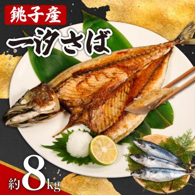 ふるさと納税 銚子市 銚子産　一汐さば　8kg