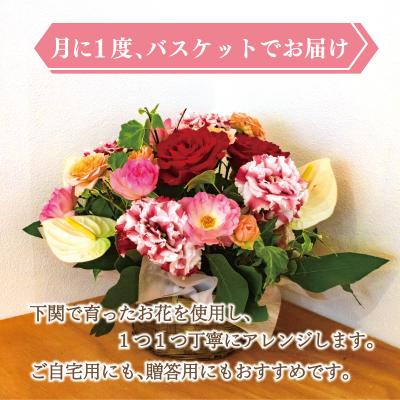 ふるさと納税 下関市 お花の定期便 (バスケット) 毎月1回×3回分 GI001 |  | 01