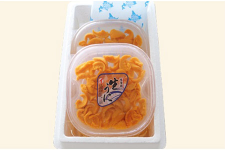 ムラサキウニ塩水パック100～110g×2P B-40028