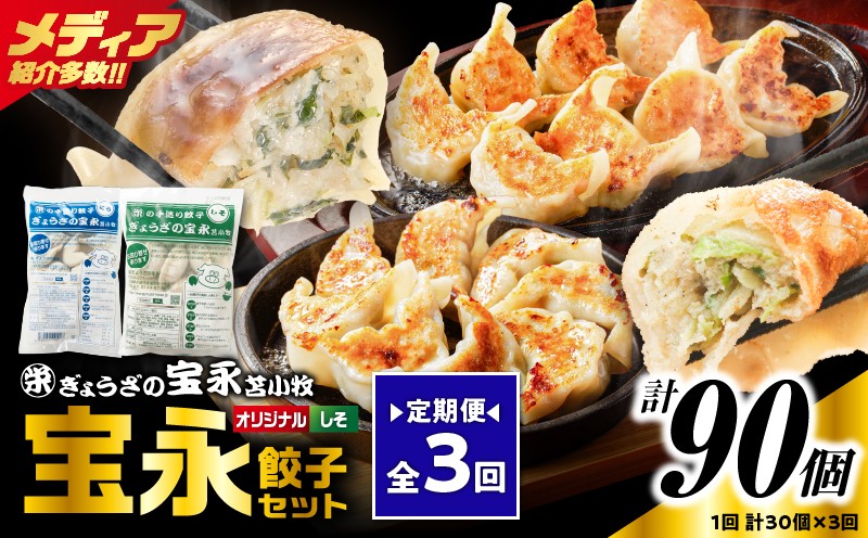 
                  【定期便・全3回 毎月】手包み餃子 ぎょうざの宝永 しそ餃子30個セット（宝永餃子15個入×1袋・しそ餃子15個入×1袋）　T004-T04-02-02
                