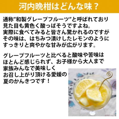 ゲル化剤・pH調整剤不使用!愛媛産 河内晩柑寒天ゼリー 12本セット【D25−223】【1628741】