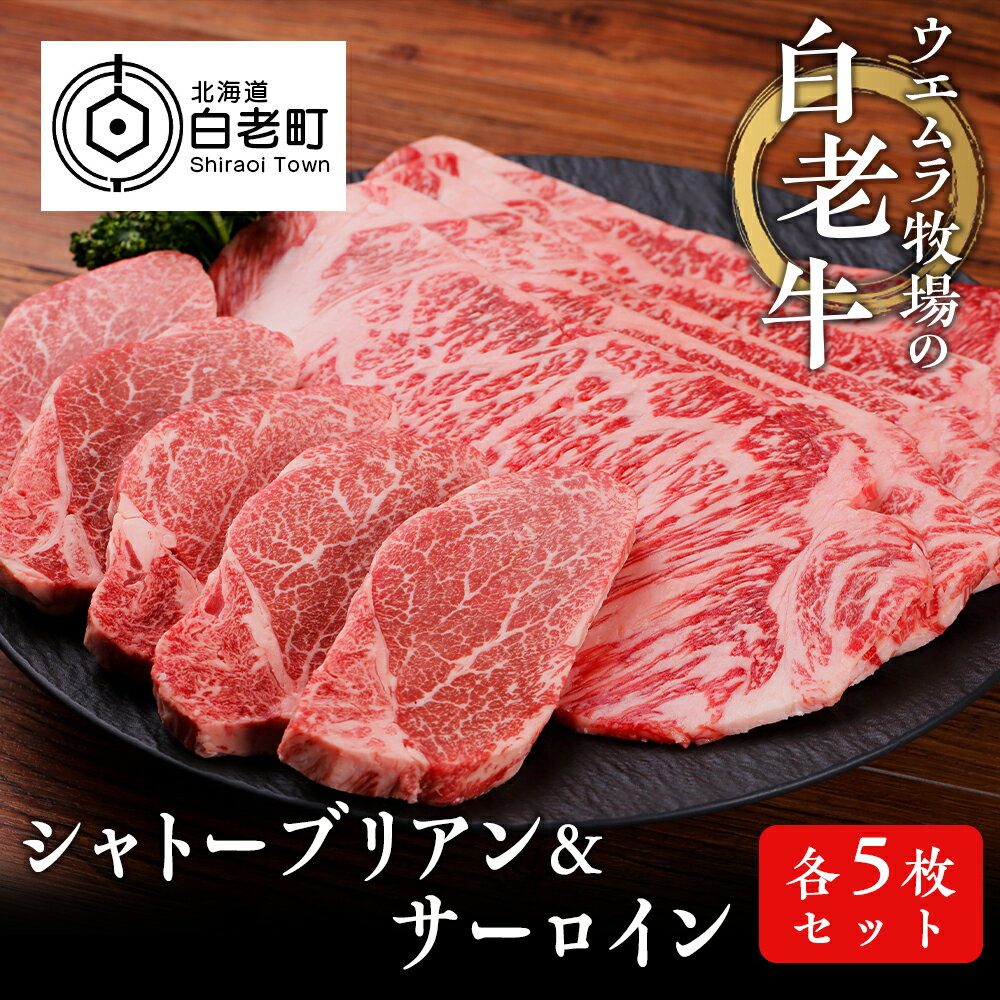 【ふるさと納税】ウエムラ牧場の白老牛シャトーブリアン・サーロイン 各5枚セット和牛 牛肉 シャトーブリアン サーロイン ステーキ サーロインステーキ セット 肉料理 北海道ふるさと納税 白老 ふるさと納税 北海道