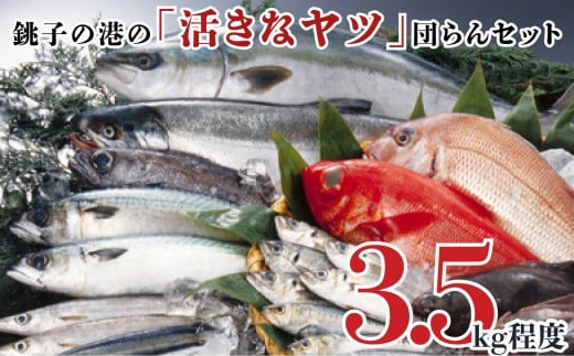 銚子の港の 「活きなヤツ」団らんセット