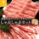 【ふるさと納税】 飛騨牛 カタロース(500g) ボーノポークぎふ 豚カタロース(700g) しゃぶしゃぶ すき焼き 冷蔵 A4 A5 霜降り 黒毛和牛 国産 牛肉 豚肉 日付指定 時間指定 y14-317 送料無料