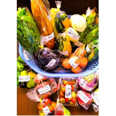 ふるさと納税 原村 季節の変り野菜セット(Lサイズ)