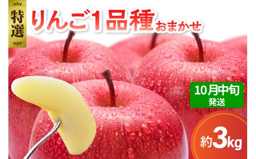 【2026年10月中旬発送】 【特選】 旬の美味しい りんご 約3kg 青森産 【おまかせ1品種】