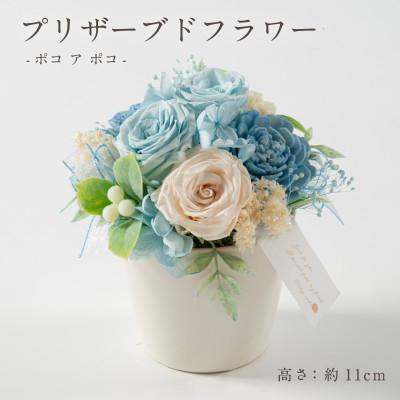 ふるさと納税 羽島市 プリザーブドフラワーアレンジ 【ポコ ア ポコ(ブルー)】
