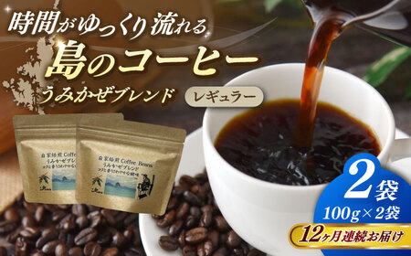 【全12回定期便】Fuuki Coffee Roaster Coffee Beans うみかぜブレンド2パック[RBO025] コーヒー 珈琲 コーヒー 珈琲 コーヒー 珈琲 コーヒー 珈琲九州 長崎