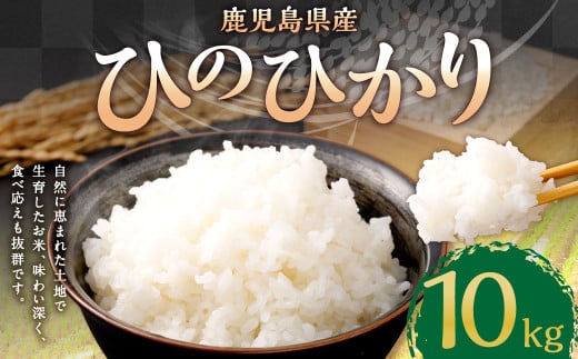 【新米先行予約】【KODAMAFARMS】鹿児島県産 ひのひかり 10kg（5kg×2袋） KODA米 米 新米 精米 白米 お米 【2026年1月下旬以降順次発送】 BS-642