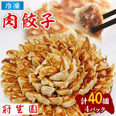 ふるさと納税 加須市 肉汁溢れる冷凍肉餃子40個(10個入×4p)