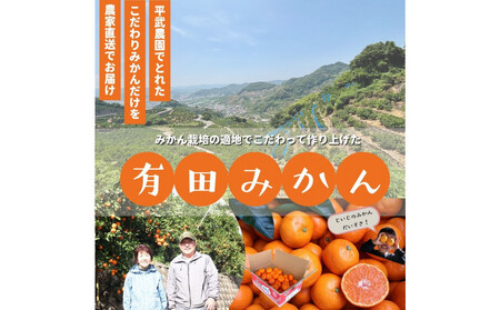 農家直送！きよみオレンジ 10kg ≪秀品≫［平武農園］～蛍飛ぶ町から旬の便り～［2026年3月下旬から順次発送予定］