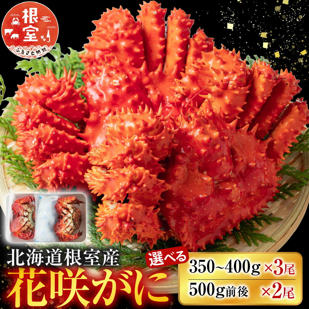 【ふるさと納税】 [北海道根室産] 花咲かに 選べる 350 ~ 400g × 3 尾 500g 前後 × 2 尾 花咲がに 花咲ガニ 花咲蟹 かに カニ 蟹 お取り寄せ グルメ 海鮮 ボイル 茹で蟹 茹でがに 茹でガニ 北海道 根室市 ふるさと納税