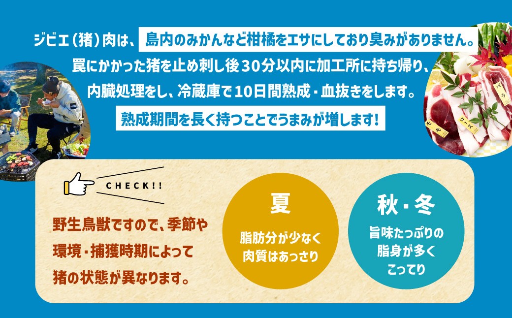 ジビエ BBQ付 1泊2日 キャンプ場 ご利用プラン【3人様用引換券】