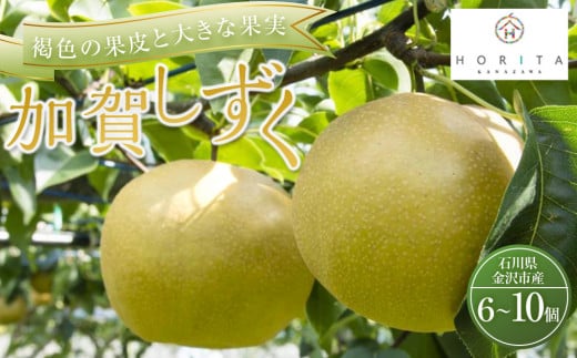 梨 加賀しずく 6～10個【2026年8月下旬以降発送】  フルーツ 果物 産地直送 石川 金沢 加賀百万石 加賀 百万石 北陸 北陸復興 北陸支援 果物 くだもの 食品 果物類 食物 加賀しずく 梨 金沢市 フルーツ デザート 国産 新鮮 甘味 みずみずしい 季節限定 石川県  日本梨 果汁たっぷり 高級 贈答用 美味しい ジューシー 香り豊か 瑞々しい 夏季限定 果実 高品質