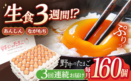 【3回定期便】産みたて新鮮卵 野中のたまご 160個【野中鶏卵】[OAC010] / 卵たまご定期便卵たまご定期便卵たまご定期便卵たまご定期便