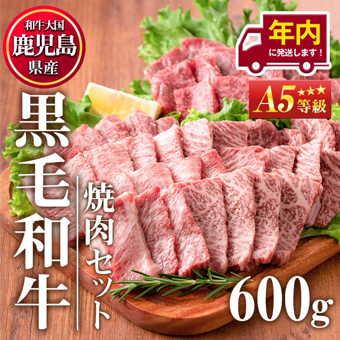 No.507-03 ＜年内発送可＞A5等級！鹿児島県産黒毛和牛焼肉セット(計600g・霜降り焼肉200g×2P、赤身焼肉200g×1P)国産 九州産 牛肉 黒毛和牛 和牛 焼肉 焼き肉 赤身 霜降り A5 A5ランク A5等級 食べ比べ セット 冷凍 年内発送 年内【カミチク】