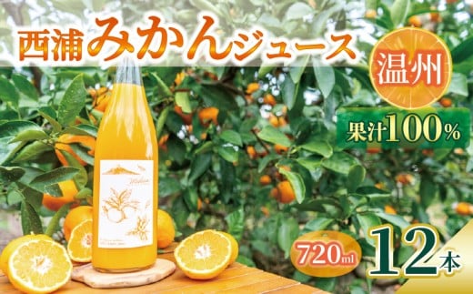 【先行予約_1月中旬発送】オレンジ ジュース ストレート 果汁 100％ 温州 みかん 720ml×12本 西浦 蜜柑 濃厚 飲み物 ミカン 人気 贈答用 静岡 沼津
