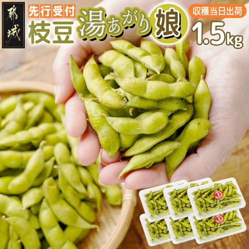 【先行受付】都城産枝豆(湯あがり娘)1.5kg(250g×6P)_11-B402-7