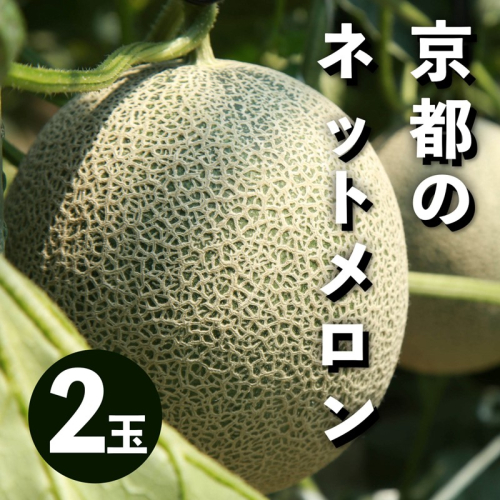 【数量限定50】アールスメロン（ネットメロン） 2玉（2026年7月上旬～発送） 国産 フルーツ 果物 メロン 甘い 糖度 ハウス栽培 リピート めろん ふるさと納税 メロン ふるさと納税 先行予約 期間限定