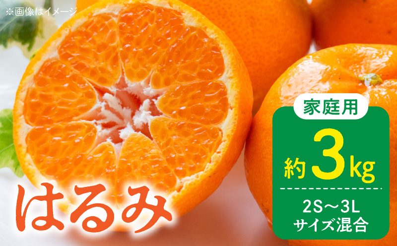 DZ6229_【2027年先行予約】家庭用 訳あり はるみ 和歌山 有田 2S～3Lサイズ混合 約3kg