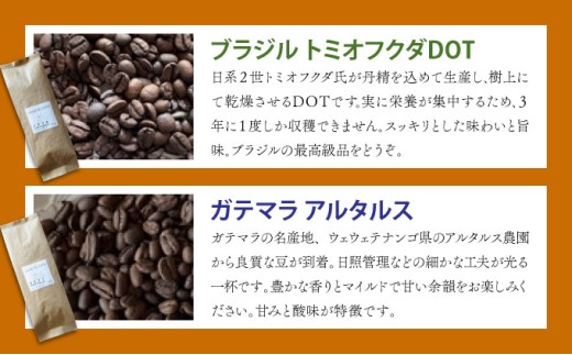 自家焙煎 コーヒー豆 オリジナルブレンド・ブラジル トミオフクダDOT・ガテマラ アルタルス 各100g×3個セット 300g