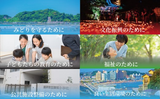 ディナーコース カジュアルコース 1名様分 8品 オーガニックグリル鵠沼海岸 食事券 レストラン フレンチ お食事カード グルメ券 利用券 商品券 補助券 ギフト券 ギフト プレゼント チケット お食