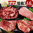 【ふるさと納税】宮崎牛 堪能セット 【スペシャル】 合計1.6kg - 肉 牛肉 国産 宮崎県産 黒毛和牛 和牛 モモスライス カルビ D11414