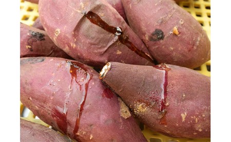 紅はるか伊丹の干し芋　丸250g・平180g　各１袋セット