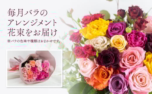 【定期便】薔薇のアレンジメント (バラ20本+ユーカリ) 12ヶ月 12回お届け アレンジブーケ バラ 薔薇 花束 ローズ 生花 赤 ピンク 色おまかせ 観賞用 プレゼント 花 ギフト 誕生日 植物 