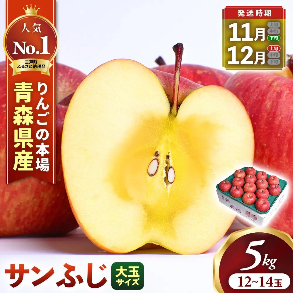青森県産りんご 大玉 サンふじ 約5kg 11月下旬～ りんご
