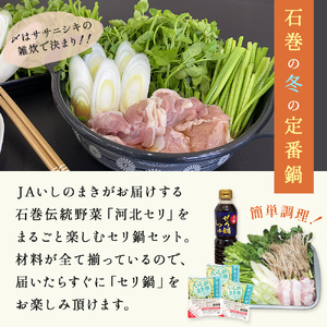 ＜12月配送＞ せり鍋セット せり5束 3-4人前 河北せり 鍋 せり 鍋セット 宮城県産 セリ鍋 芹 根せり 根っこ 宮城県 石巻市 長ねぎ パックご飯 スープ 鶏肉 セリ セリ鍋 野菜 鍋 しゃぶ
