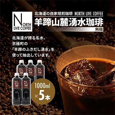 ふるさと納税 江別市 ノースライブコーヒー　羊蹄山麓湧水珈琲(無糖) 1000ml×5本セット