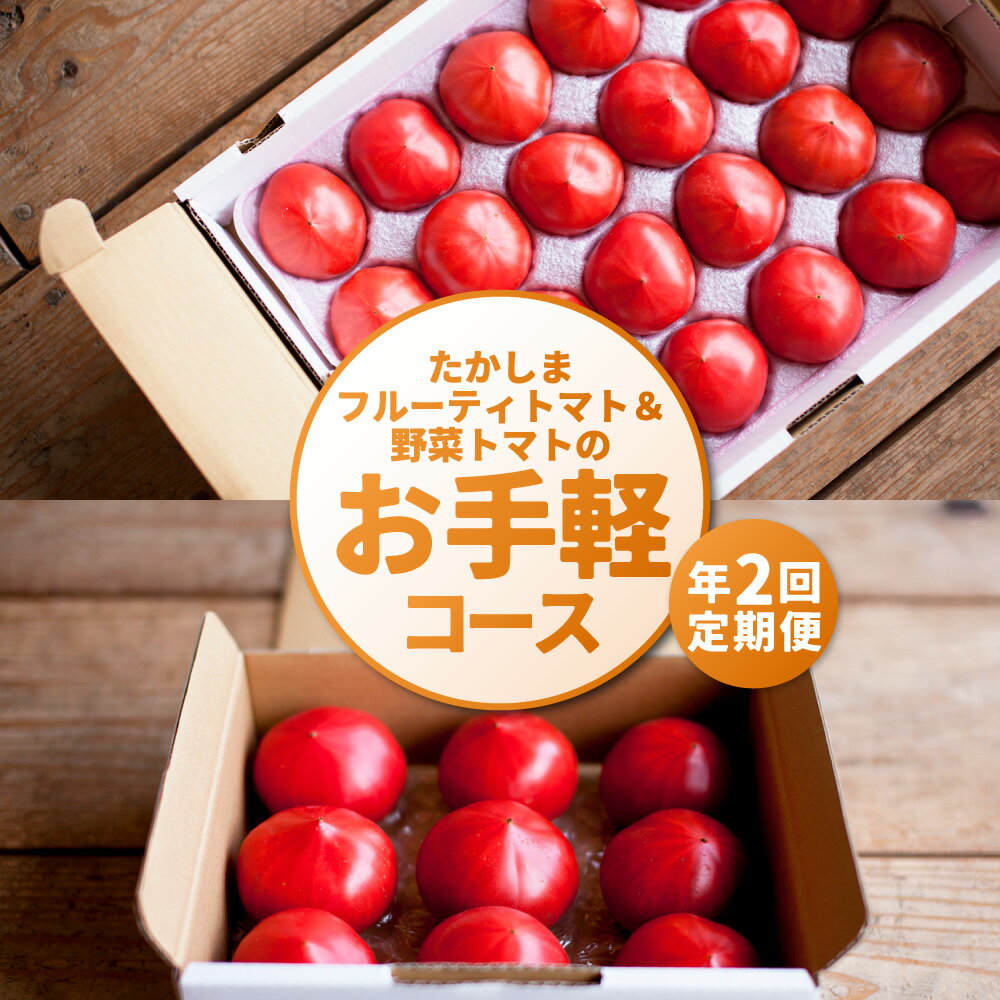【ふるさと納税】たかしまフルーティトマト＆野菜トマトのお手軽コース 【年2回 定期便（2月/3月配送）】 フルーティートマト フルーツトマト トマト とまと かもめのトマト 情熱ハート 各約3kg 合計約6kg 野菜 やさい サラダ 料理 ケチャップ ピューレ 高糖度 常温 送料無料