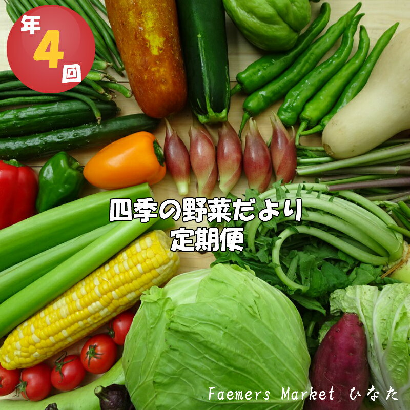 【ふるさと納税】 定期便 年 4回 野菜 おまかせ セット 10 〜 14種 春夏秋冬 なばな 新玉ねぎ そら豆 春キャベツ トマト じゃが芋 みょうが オクラ 栗 しょうが キク芋 須崎 高知 HNT2000人気 ランキング 食品 お楽しみ バラエティ おすすめ 4ヶ月 健康