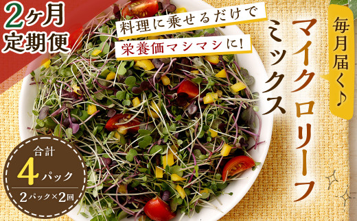 【2回定期便】 マイクロリーフミックス 1回あたり約140g（70g×2個）合計 約280g サラダ 野菜 大分県 九重町産 定期便