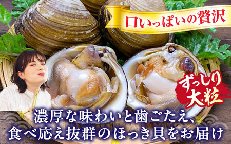 【2026年7月中旬以降順次発送再開】活ほっき貝 4kg 約14～24個【鵡川漁業協同組合】ホッキ 冷蔵発送 [AXAL006]