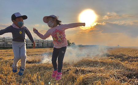 No.481 特別栽培　彩のかがやき　玄米10kg