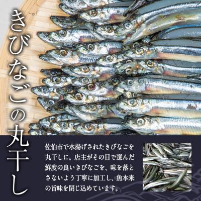 ふるさと納税 佐伯市 ＜訳あり・業務用＞きびなごの丸干し (計約1kg) |  | 01