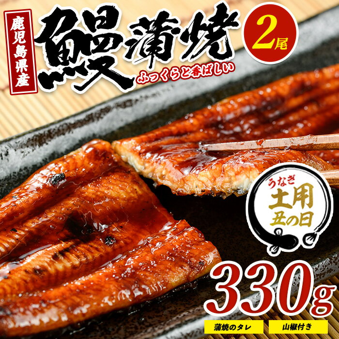 【ふるさと納税】【丑の日ギフト】7/9〜19までにお届け！(お申込みは7/13まで)鹿児島県産 鰻の蒲焼き 2尾セット(165g-2尾 タレ・山椒付)｜香ばしさと旨みたっぷりの極上うなぎ 鹿児島 国産 うなぎ 鰻 ウナギ 蒲焼き