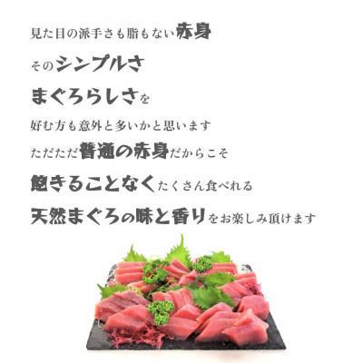 ふるさと納税 吉田町 天然まぐろ赤身サク1.2kg業務用 |  | 01
