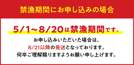 【W005-010u】【漁師直送】活き〆冷凍　天然伊勢海老600g（1～2尾）