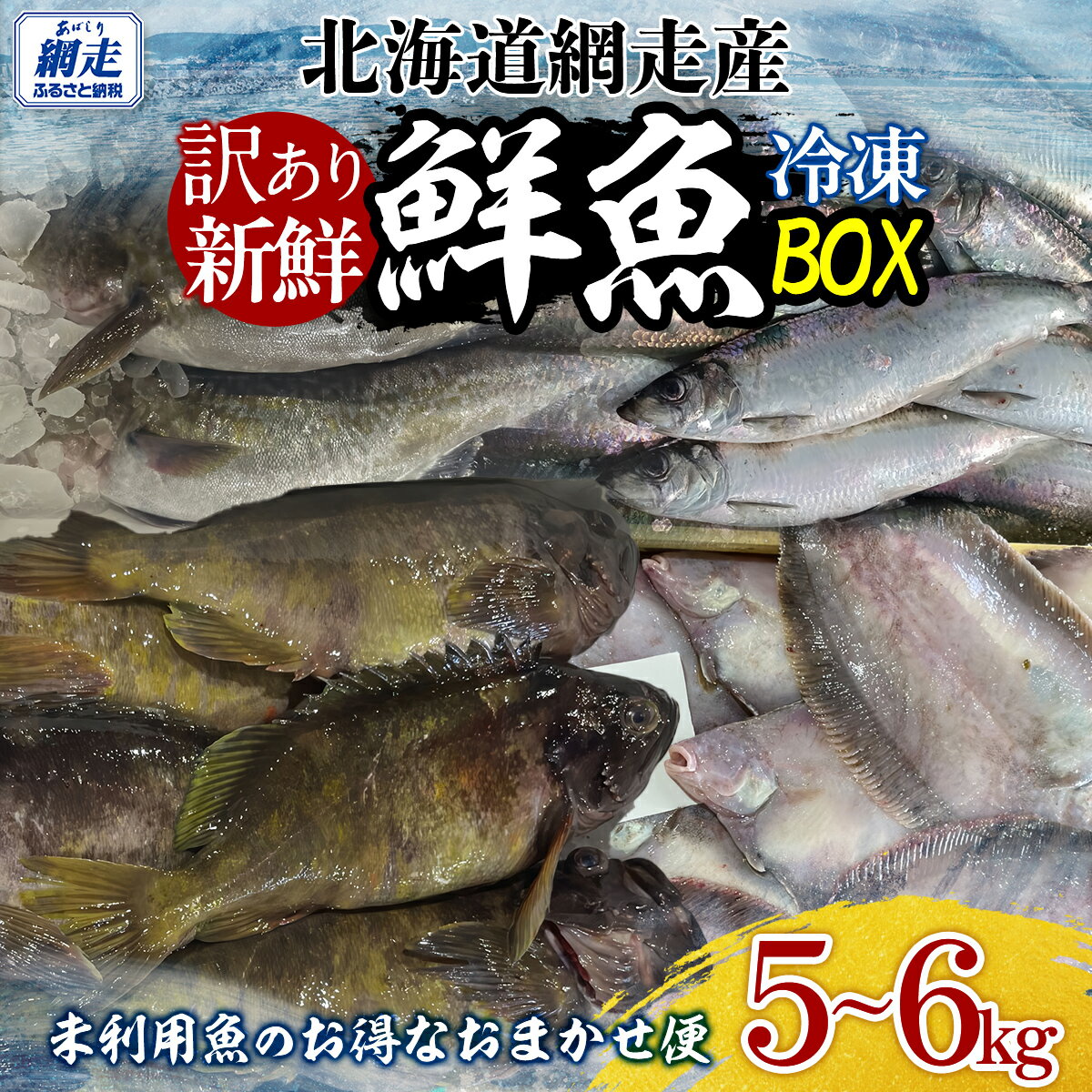 【ふるさと納税】【訳あり】網走産冷凍鮮魚BOX～未利用魚の有効活用（漁業生産者応援企画）～ 【 ふるさと納税 人気 おすすめ ランキング たこ やなぎたこ 真たら にしん かれい しじみ ほっけ ほたて さけ 鮮魚 セット 詰合せ 北海道 網走市 送料無料 】 ABAE011