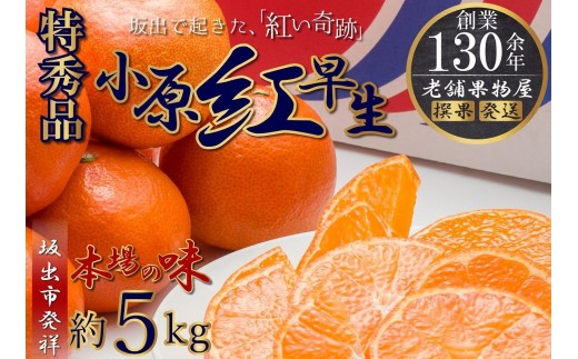 
                  特秀品！小原紅早生みかん　約5kg【坂出発祥の真っ紅なお蜜柑】
                