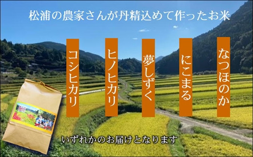 お米の定期便10kg×3回【定期便】( 定期便 米 お米 ご飯 白米 夢しずく コシヒカリ ヒノヒカリ にこまる なつほのか )【I1-001】