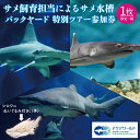 【ふるさと納税】アクアワールド茨城県大洗水族館 サメ飼育員による サメ水槽 バックヤードツアー サメ給餌体験 サメタッチング サメについての講義 サメ卵殻 瓶詰め 標本 (1本) シロワニ ぬいぐるみ (1体) プレゼント アクアワールド 茨城県 大洗 水族館