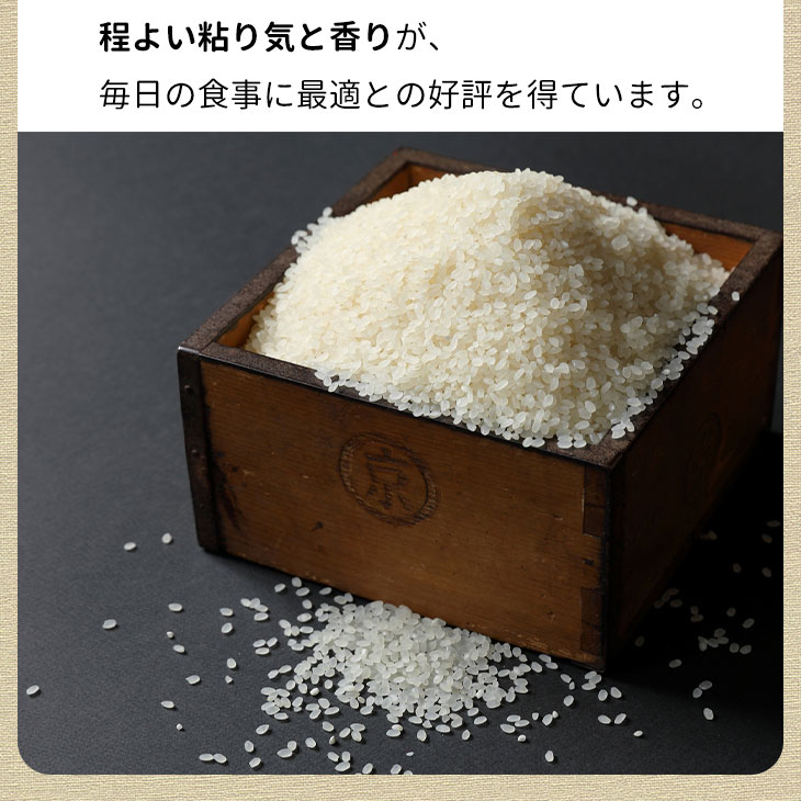 【9月より新米】【毎月1回お届け】【定期便】米 京都丹波米 こしひかり10kg×12回 計120kg 米 12ヶ月 白米 12回定期便 ※精米したてをお届け コシヒカリ ※北海道・沖縄・離島への配送不