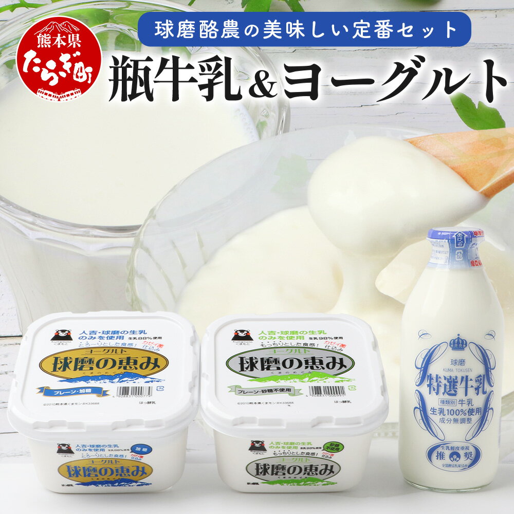 【ふるさと納税】球磨酪農“おいしい定番”セット (瓶 牛乳 & ヨーグルト加糖・砂糖不使用) 牛乳 生乳 球磨の恵み ヨーグルト 詰め合わせ セット 乳酸菌 腸活 朝活 熊本県 球磨郡 無添加 乳製品 生乳 人吉球磨 酪農 乳牛 自然派 人気 冷蔵 送料無料