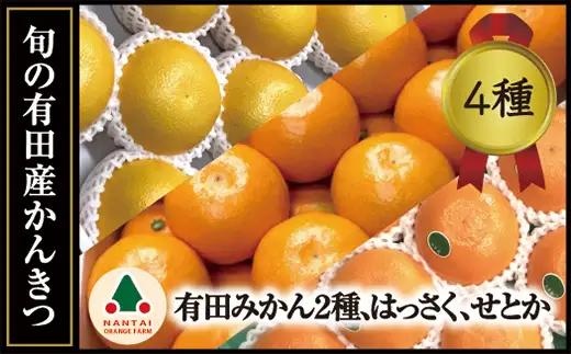 定期便 旬の有田産かんきつ味わい セット 全4回 お届け 南泰園 みかん