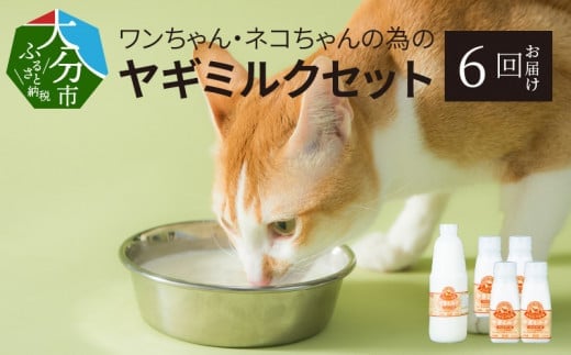 【定期便】ワンちゃん・ネコちゃんの為のヤギミルクセット 900ml×1本、200ml×4本（6回お届け）ペットフード 栄養補給 犬 猫 ペット 国産 ヤギ乳 小動物 セット 高タンパク 低脂肪 T10034